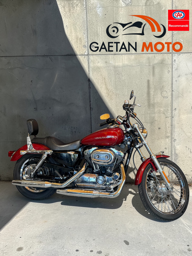 harley-davidson-xl1200-2006