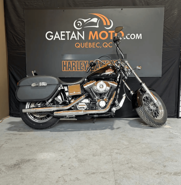 2000-harley-davidson-fxdwg-custom