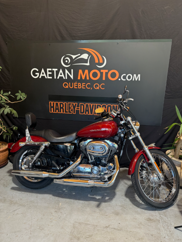Harley-Davidson XL1200 2006 – Image 3