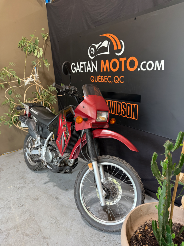 Kawasaki KLR650 2005 – Image 3