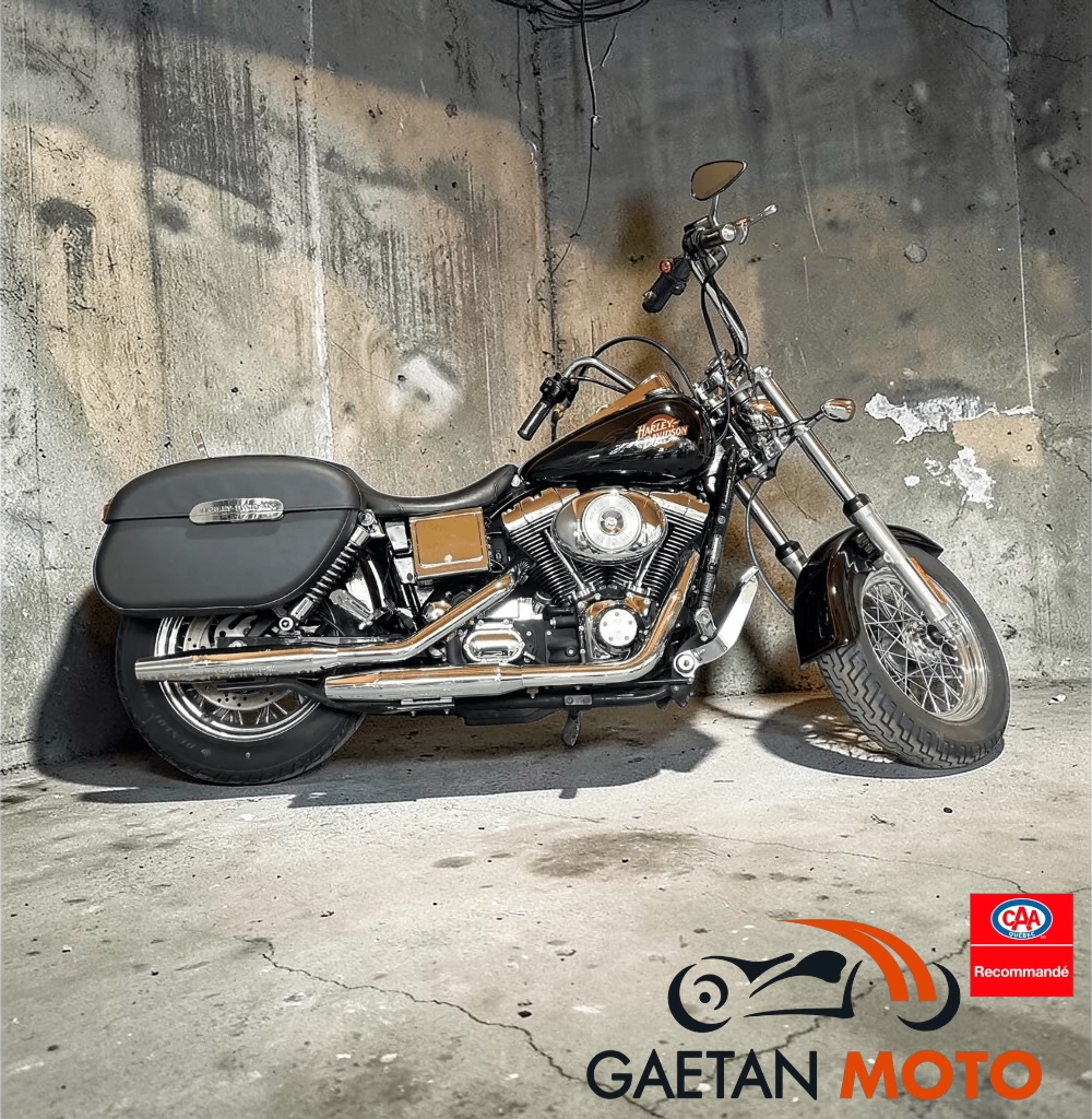 zvendu-harley-davidson-fxdwg-custom-2000