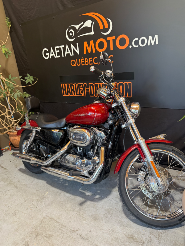 harley-davidson-xl1200-2006